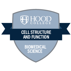 Cell Structure and Function